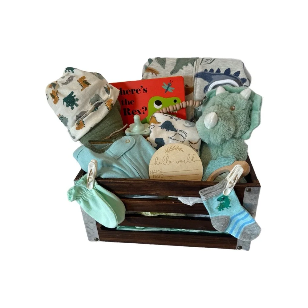 Dinosaur Baby Shower Gift Crate, Newborn Present-Dino Books Clothes Lovey & More